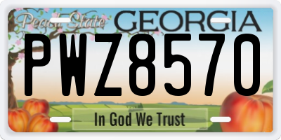 GA license plate PWZ8570
