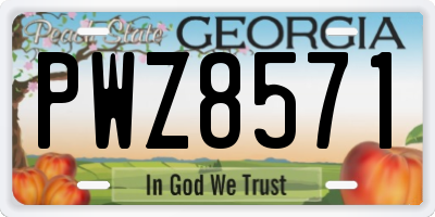 GA license plate PWZ8571