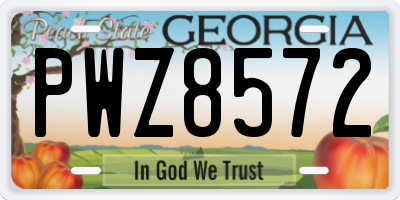 GA license plate PWZ8572