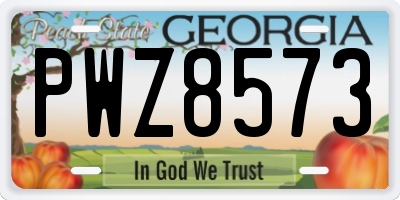GA license plate PWZ8573