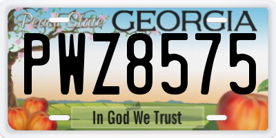 GA license plate PWZ8575