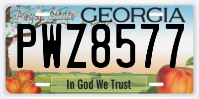 GA license plate PWZ8577