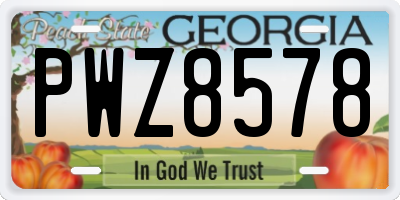 GA license plate PWZ8578