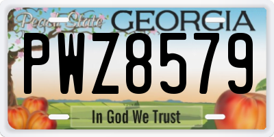 GA license plate PWZ8579