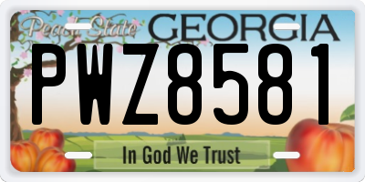 GA license plate PWZ8581