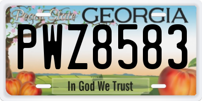GA license plate PWZ8583