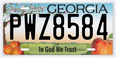 GA license plate PWZ8584