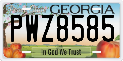 GA license plate PWZ8585