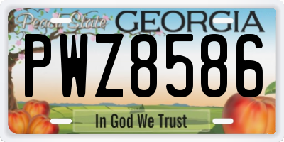 GA license plate PWZ8586