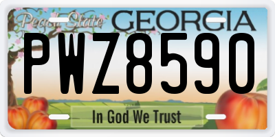 GA license plate PWZ8590