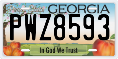 GA license plate PWZ8593
