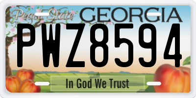 GA license plate PWZ8594