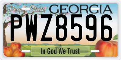 GA license plate PWZ8596