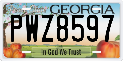 GA license plate PWZ8597