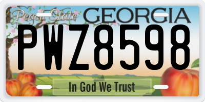 GA license plate PWZ8598