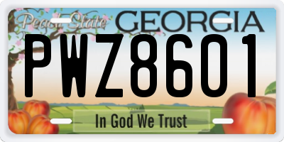 GA license plate PWZ8601