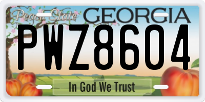 GA license plate PWZ8604