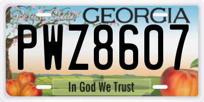 GA license plate PWZ8607
