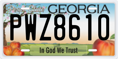 GA license plate PWZ8610