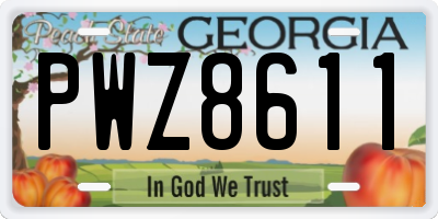 GA license plate PWZ8611