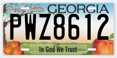 GA license plate PWZ8612