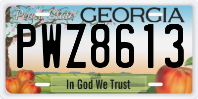 GA license plate PWZ8613