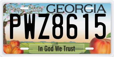 GA license plate PWZ8615