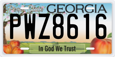GA license plate PWZ8616