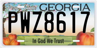 GA license plate PWZ8617