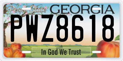 GA license plate PWZ8618