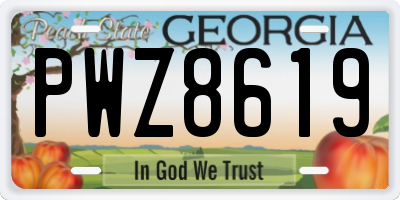 GA license plate PWZ8619