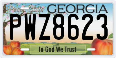 GA license plate PWZ8623