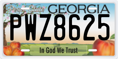 GA license plate PWZ8625