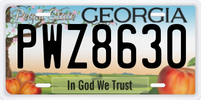 GA license plate PWZ8630