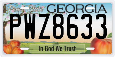 GA license plate PWZ8633