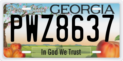 GA license plate PWZ8637