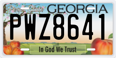 GA license plate PWZ8641