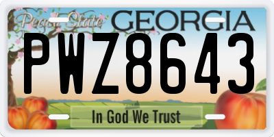 GA license plate PWZ8643