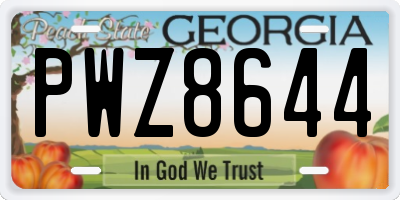 GA license plate PWZ8644