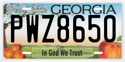 GA license plate PWZ8650