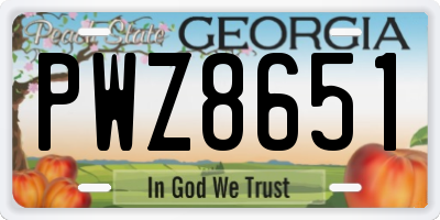 GA license plate PWZ8651