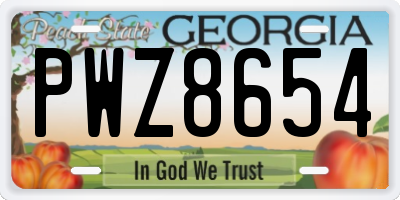 GA license plate PWZ8654