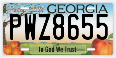GA license plate PWZ8655