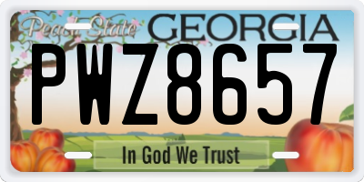 GA license plate PWZ8657