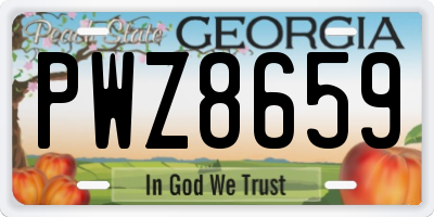 GA license plate PWZ8659