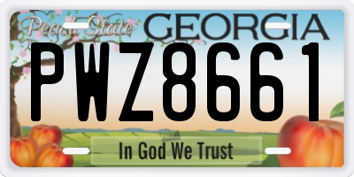 GA license plate PWZ8661