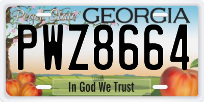 GA license plate PWZ8664