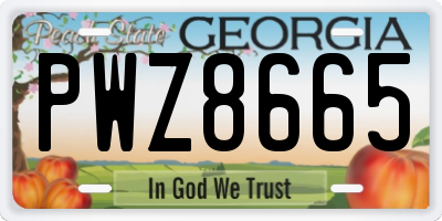 GA license plate PWZ8665