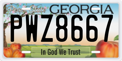 GA license plate PWZ8667