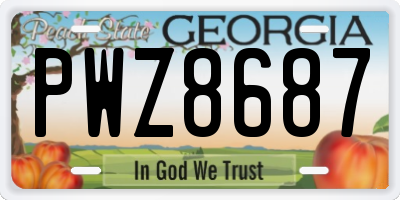 GA license plate PWZ8687